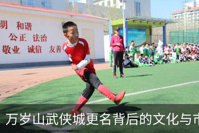 万岁山武侠城更名背后的文化与市场逻辑分析